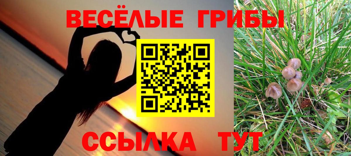 Ярцево  Псилоцибиновые грибы GOLDEN TEACHER  Вход с VPN 
